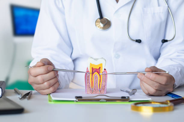 Best Orthodontic Emergency Dentist in Fort Lee, NJ